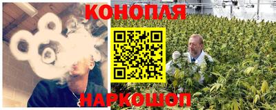PSILOCYBIN Бугуруслан