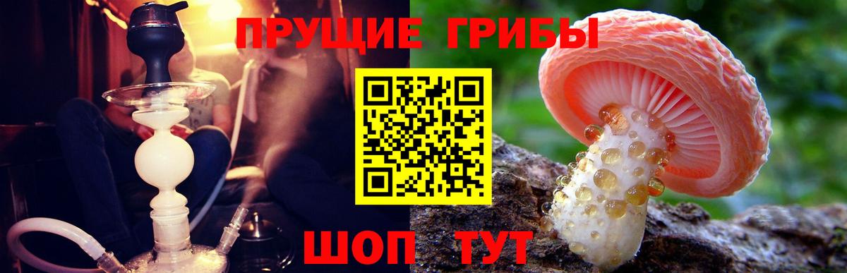 Курганинск  Галлюциногенные грибы Cubensis  Вход с VPN 